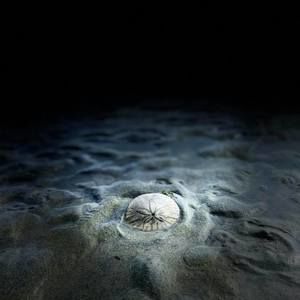 Meet your Posher, Hayley